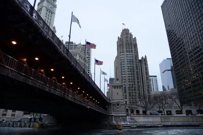 DSC_8798 (Large).JPG